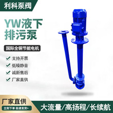 厂家直供YW液下排污泵不锈钢液下排污泵液下泵