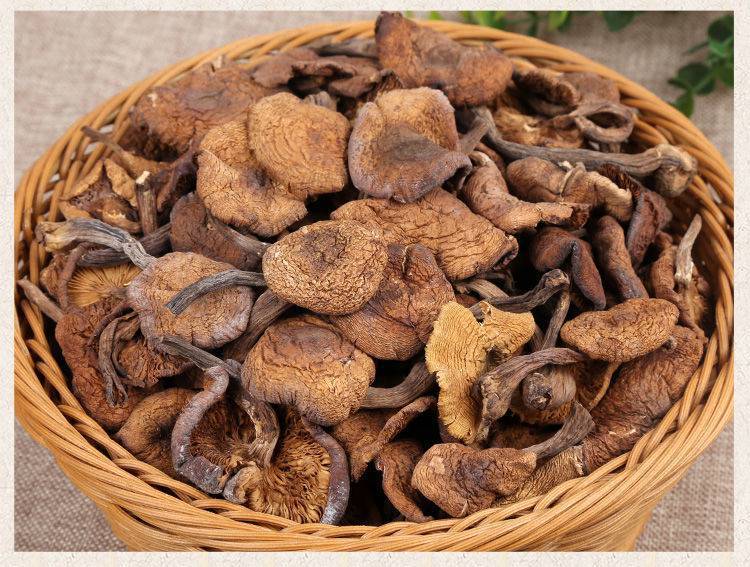 野生榛蘑东北特产蘑菇香菇无根剪脚小鸡炖蘑菇榛蘑菇丁长白山干货