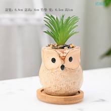 Mini flowerware owl ceramic succulent pot balcony迷你花器