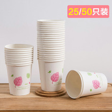 一次性纸杯50只装加厚250ml原生木浆水杯咖啡豆浆果汁奶茶热饮杯
