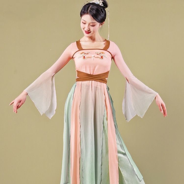 单色古典舞身韵纱衣艺考女撞色练功服汉唐古风演出服印花飘逸仙气