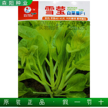 雪莹白菜苔种籽40天早熟耐热抗病高产四季种红菜苔白菜心蔬菜种籽