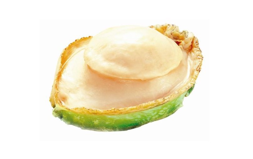 冷冻"青边鲍鱼肉"澳洲生冻大鲍鱼 刺身即食 摆盘 日料 价格按斤