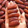 Dubai Dates Super Imported Dates Jujube candied jujube Saudi Arabia Jujube