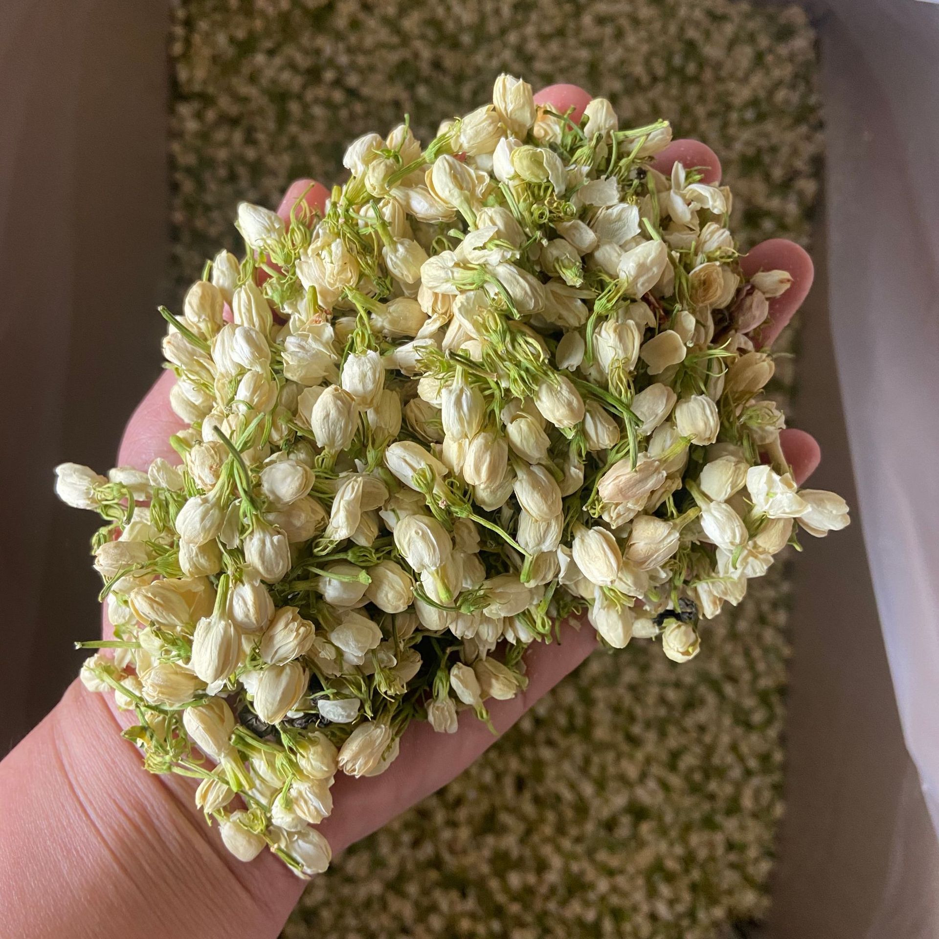 新货茉莉花茶散装广西横县茉莉花蕾500克茉莉花干厂家直供
