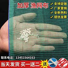 渔网鱼网布10目水产养殖网箱渔网鱼塘护坡网青蛙龙虾防逃围网网片