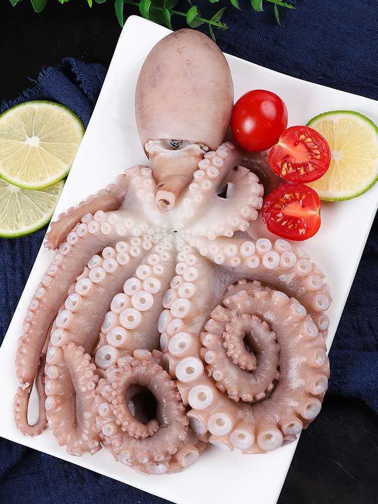 6斤顺丰包邮新鲜爆头长腿八爪鱼大爆头生鲜海鱼海鲜水产火锅食材