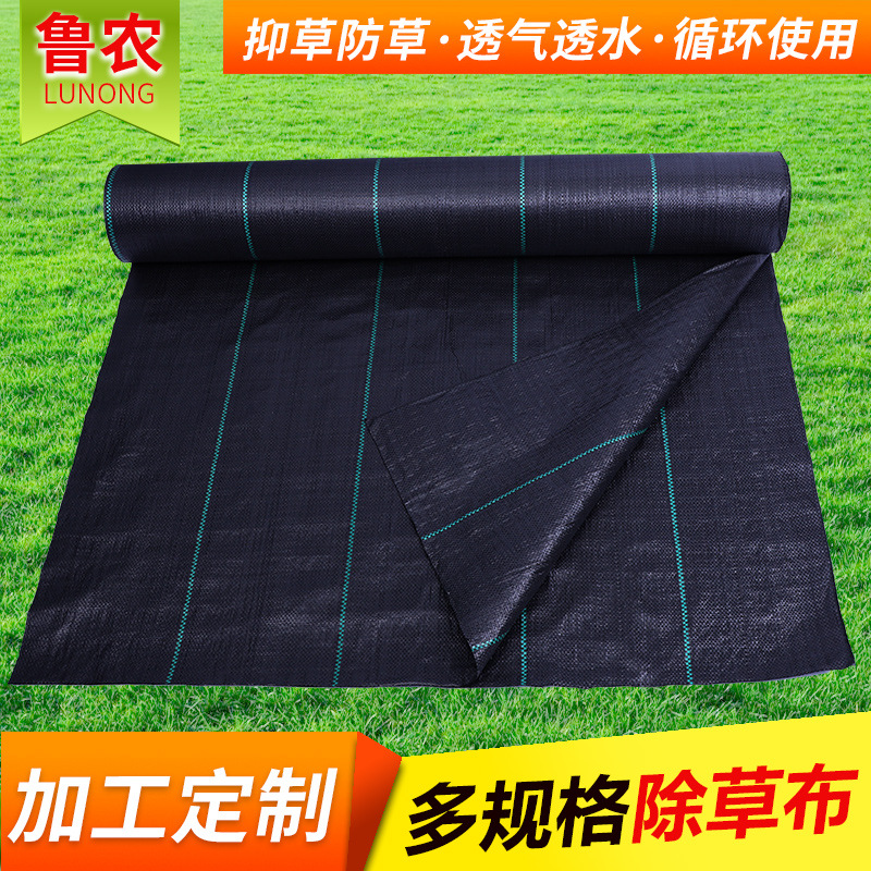 Factory Supply Pp Garden Anti-Grass Ground Cloth 4.2 M 90G Anti-Aging Corrosion Weed Barrier Greenhouse Anti-Grass Cloth Wholesale