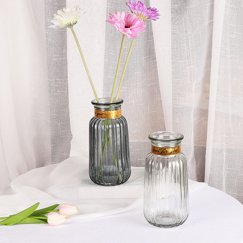 Nordic Imitation Gold Circle Glass Vase Transparent Vase Dried Flower Flower Arrangement Glass Bottle Living Room Home Creative Decoration Ornaments