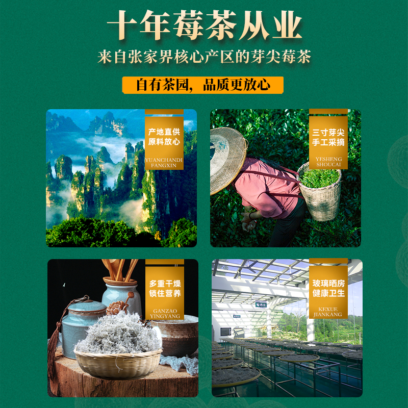 甄选 张家界莓茶龙须嫩芽尖霉茶永顺长寿藤茶-阿里巴巴