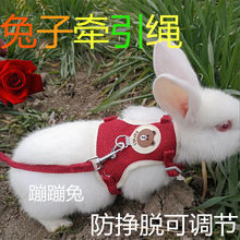 兔子牵引绳防挣脱兔链子遛兔绳可调节背心式溜兔子绳兔子用品项圈