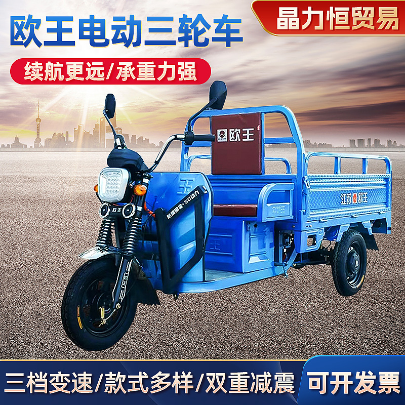 批发欧王钢板电动三轮车快递家用农用拉货车大型三轮载重王电瓶车