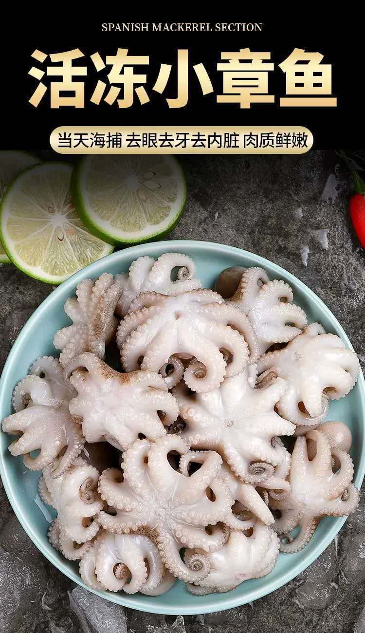 5斤包邮鲜活速冻迷你八爪鱼爆头长腿翻花小章鱼海产水产去牙去脏