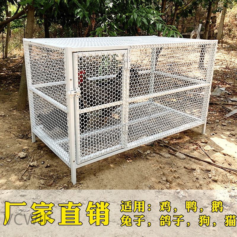 6sy防黄鼠狼养鸡笼家用大号特大室外楼顶院子鸽子兔子