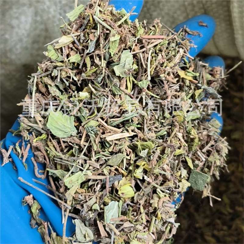 1000克散装干品黄毛耳草茎叶石打穿铜眼狮地坎风