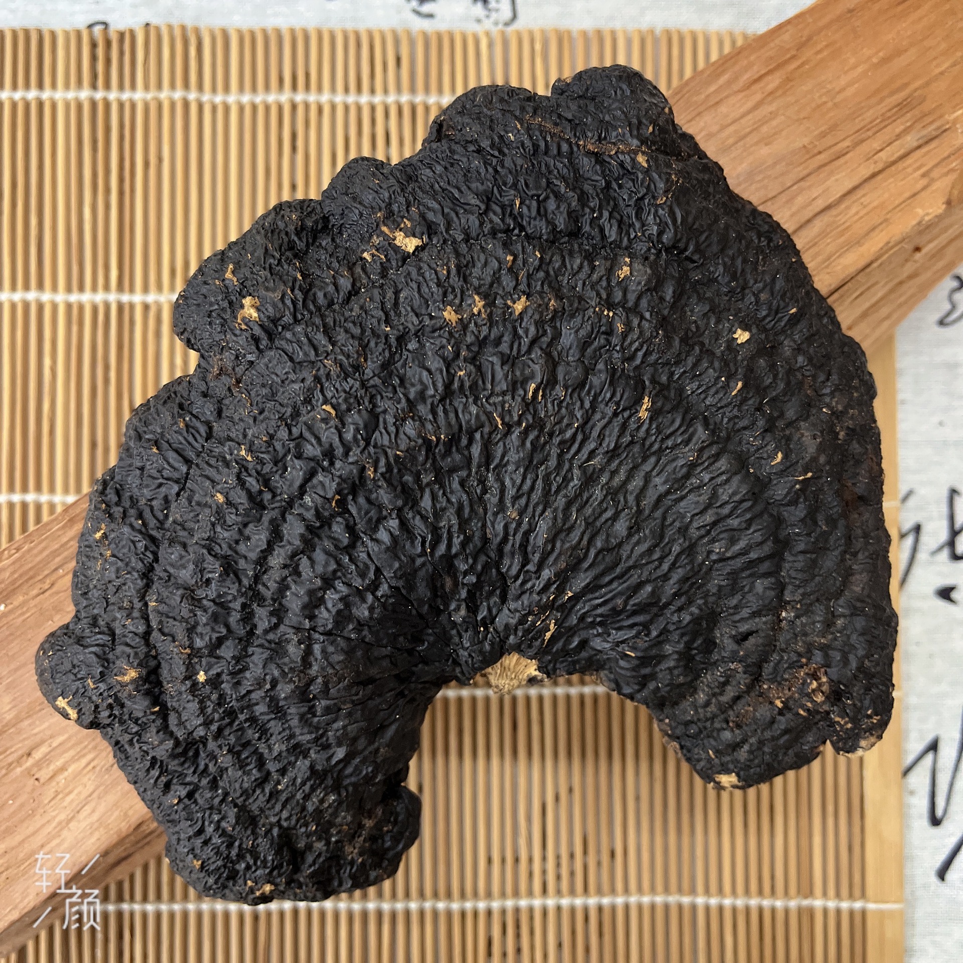 薄树灵芝 薄盖灵芝 可切片泡茶煲汤泡酒 原产地大货批发一件代发