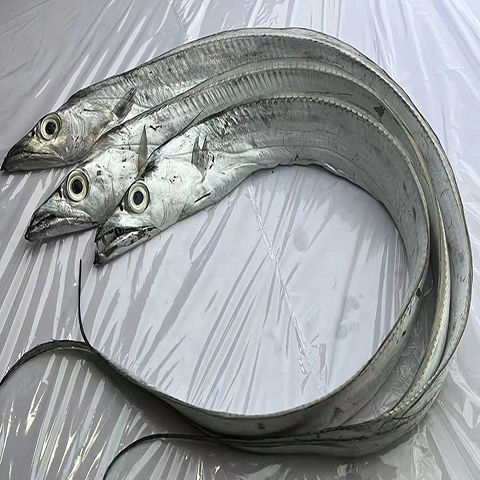 野生刀鱼整条带鱼段海捕新鲜野生海捕东海刀鱼北方刀鱼肉质鲜