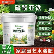 硫酸亚铁花肥料喜酸栀子花茶花杜鹃花桂花水溶肥家用肥营养土壤铭