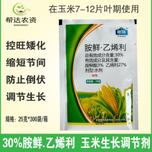 30%胺鲜酯乙烯利 玉米专用矮壮素控旺矮化抗倒伏生长调节剂25克