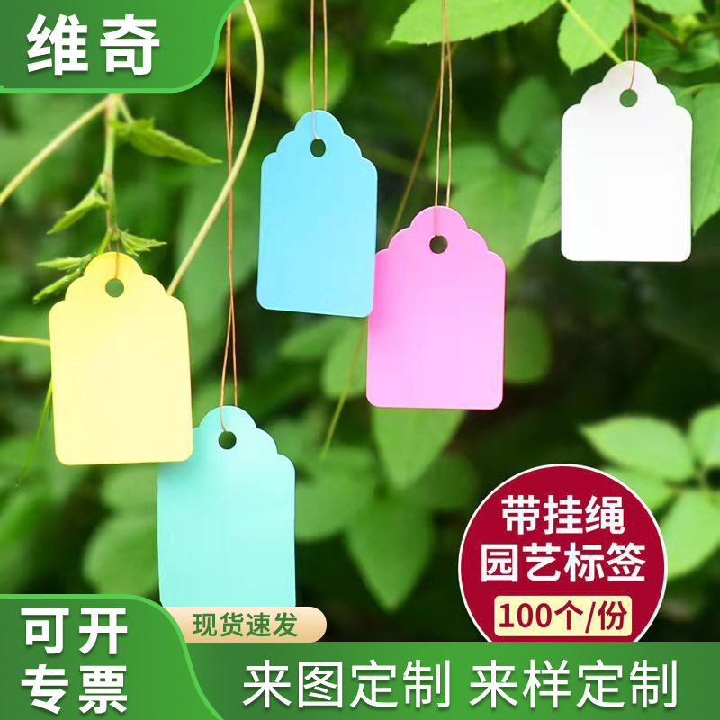 100张塑料园艺吊牌防水防晒彩色育种记号牌园艺标签花卉种子标签