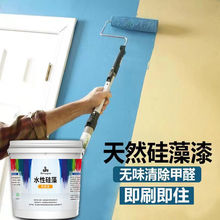 乳胶漆家用白色室内自刷硅藻泥刷墙涂料墙面粉刷彩色无味内墙油漆
