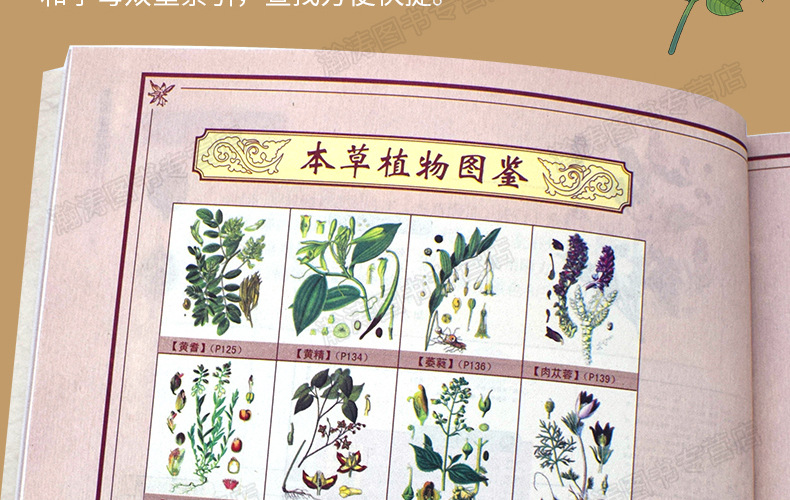 【速查全图解】本草纲目原著正版 李时珍原版全套彩图中医类书籍