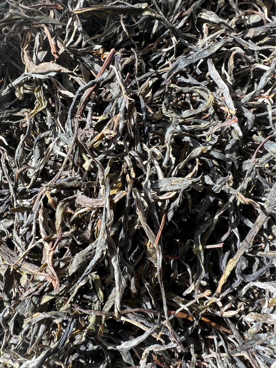 云南无量山茶叶-云南无量山茶叶厂家,品牌,图片,热帖-阿里巴巴