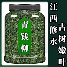 包邮【植物】江西修水野生青钱柳原叶原产地青钱柳金钱