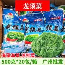 龙须菜 500克*20包 海野菜素食凉拌菜海发菜石花菜海藻海草商用