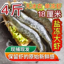 大虾鲜活冷冻青岛新鲜厄瓜多尔盐冻大号批发一箱白虾海捕亚马逊