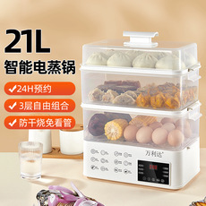 Household Multi-Layer Timing Electric Steamer