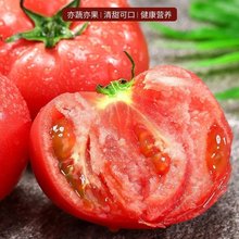 新疆普罗旺斯西红柿沙瓤番茄新鲜自然熟生吃老品种孕妇水果西红柿