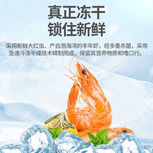 鱼食冻干红虫干丰年虾块幼虫热带观赏鱼鱼粮小型鱼斗鱼孔雀鱼饲料