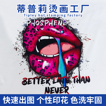 跨境新款烫画热转印服装鞋帽烫图贴diy胶印耐水洗烫印贴定 制批发