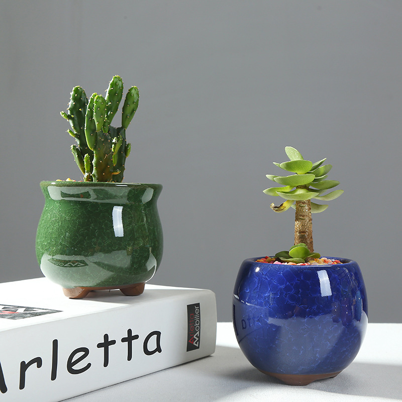 多肉植物花盆冰裂陶瓷多彩多肉老桩陶瓷花盆绿萝文竹绿植花盆摆件