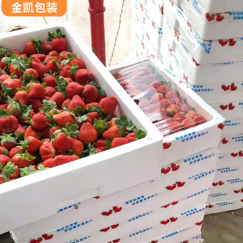 加工定做草莓泡沫带孔包装箱 食品水果草莓保鲜泡沫包装箱批发