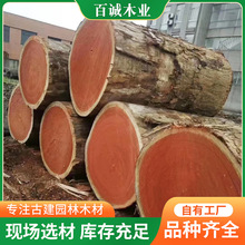厂家批发非洲红花梨原木刚果红花梨板材实木家具大板工程柱子木料