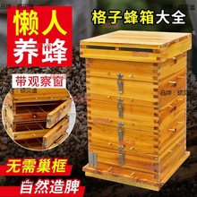 格子箱诱蜂箱十框煮蜡蜂箱带框养蜂烘干意蜂蜜蜂中蜂蜂箱全套杉木