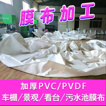 膜布膜材PVC膜布 pvdf建筑膜材 张拉膜结构车棚膜布料厂家