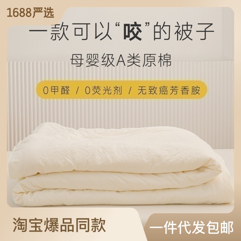 Maternal and Child Grade A Raw Cotton Soybean Quilt Winter Thickened Soybean Fiber Quilt Dormitory Duvet Insert Hotel Quilt Wholesale