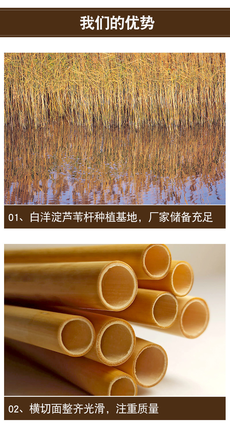 工艺品编织专用苇料 灯饰用芦苇 批发天然芦苇杆芦苇梗去皮芦苇杆