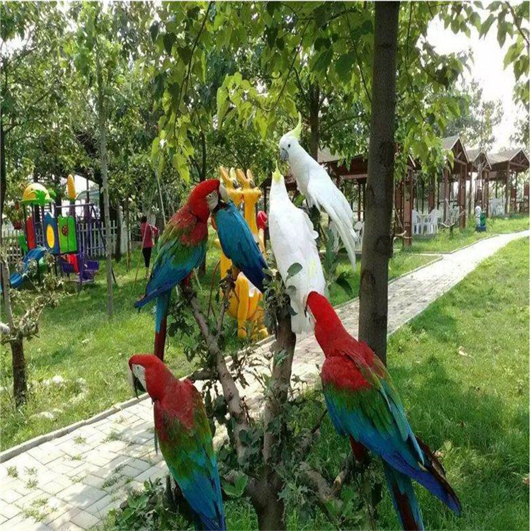 萌宠展活体羊驼租赁展览 出售土拨鼠活体羊驼活体 矮马 狐獴 旱獭