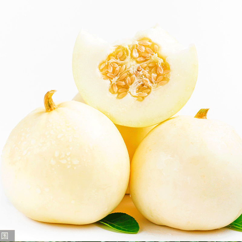 云南郁金香白甜瓜小瓜蜜瓜香瓜脆瓜水果新鲜孕妇10斤当季整批发