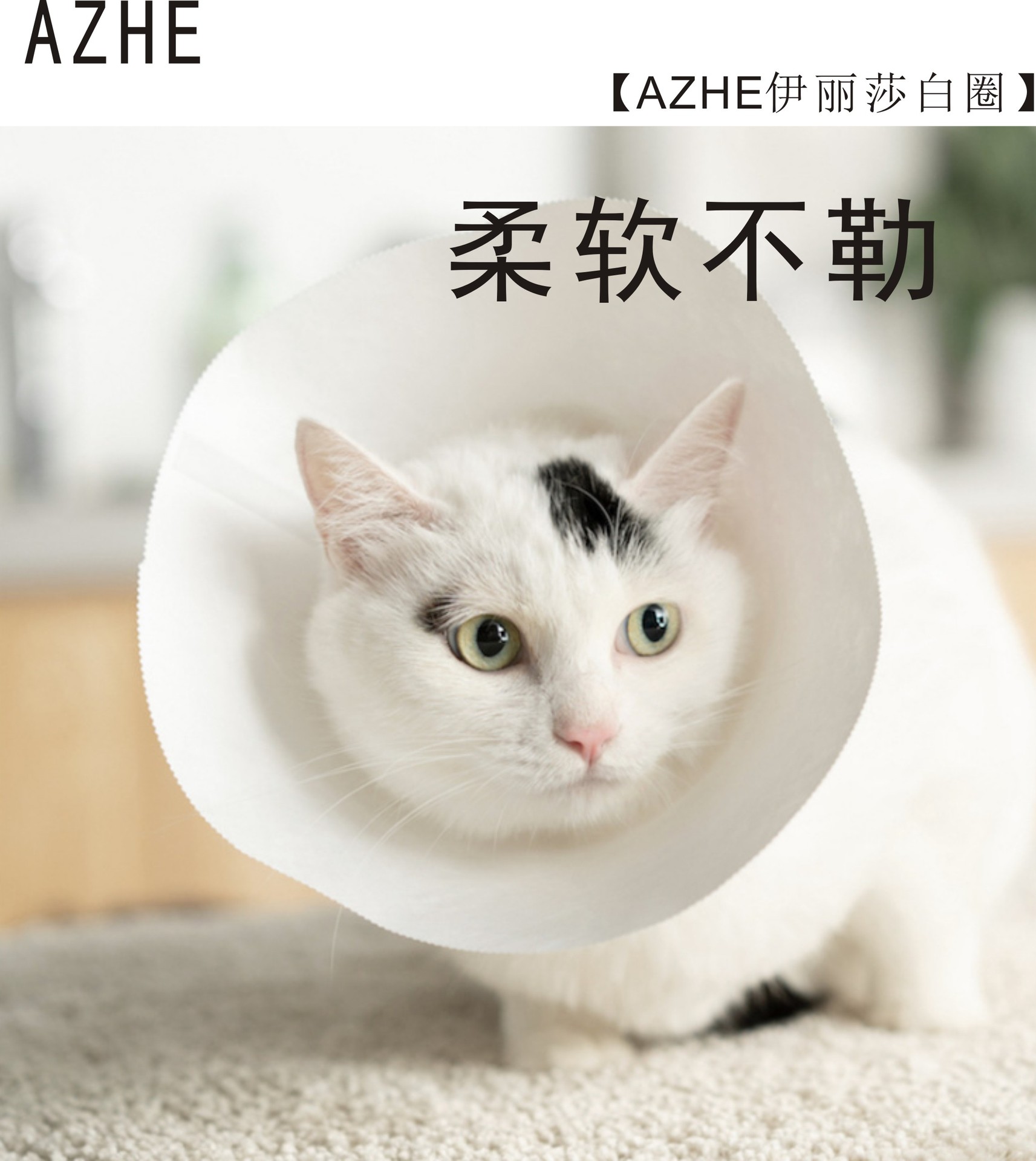 azhe伊丽莎白圈头套绝育项圈1件套猫咪狗狗一次性术后杜邦纸项圈