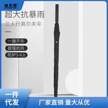 大雨伞雨伞大号自动伞男简约晴雨两用超大长柄伞直柄双人学生抗风