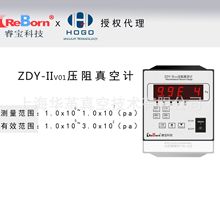睿宝ZDY-Ⅱ压阻真空计 低精度真空测量气压压强气体通用