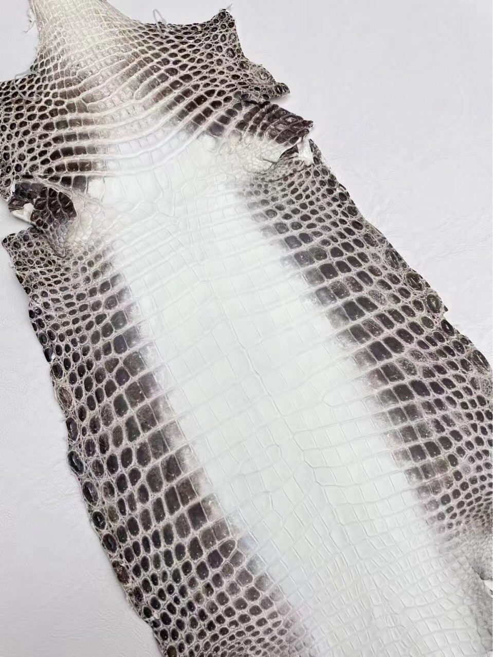 喜马拉雅白鳄鱼皮真皮非牛皮压纹尼罗鳄整张皮料批发供kelly铂金