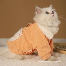 猫咪衣服秋冬布偶英短美短金渐层小猫猫猫保暖带牵引外套冬季冬装