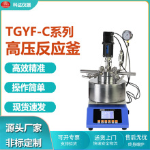 TGYF-C系列磁力搅拌釜 实验室0.05-1L台式小型 高温高压反应釜