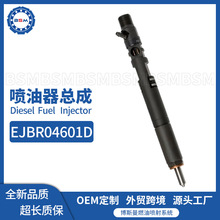 EJBR04601D适配双龙路帝2.7T德尔福喷油器A6650170321雷斯特五缸